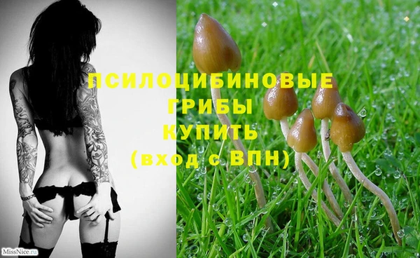 прущая мука Надым