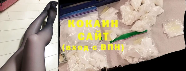 прущие грибы Наволоки