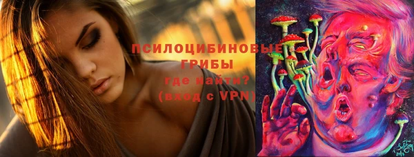прущие грибы Наволоки