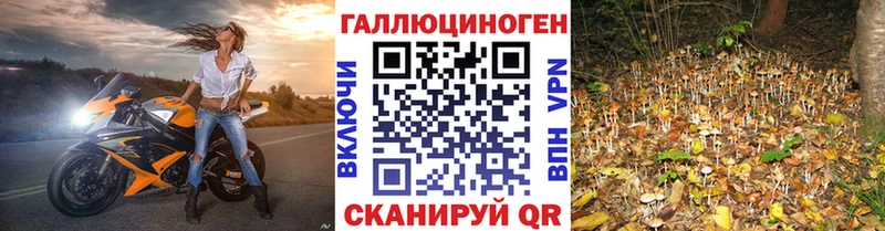 Галлюциногенные грибы MAGIC MUSHROOMS  Пятигорск 